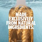 Absolut Mix Miniature Pack with Original, Citron, Lime, Vanilia and Raspberri Flavoured Swedish Vodka, 5 X 5Cl