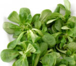 Little Leaves Lambs Lettuce, 60G