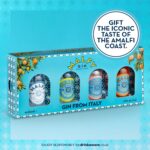 Malfy Italian Gin Miniatures Gift Box Selection | 4 X 5Cl | Grapefruit, Lemon, Blood Orange and Original Flavoured Gin Minis | Perfect Gin Gift Set | Ideal for Birthday Gifts and Special Occasions