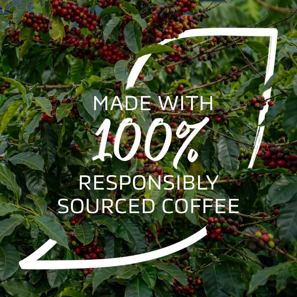 NESCAFÉ Caramel Latte Instant Coffee 8 X 17G Sachets, 100% Responsibly Sourced Coffee