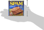 Spam Chopped Pork and Ham, 340G