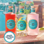 Malfy Italian Gin Miniatures Gift Box Selection | 4 X 5Cl | Grapefruit, Lemon, Blood Orange and Original Flavoured Gin Minis | Perfect Gin Gift Set | Ideal for Birthday Gifts and Special Occasions