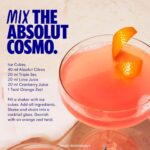 Absolut Mix Miniature Pack with Original, Citron, Lime, Vanilia and Raspberri Flavoured Swedish Vodka, 5 X 5Cl